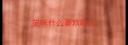 猫咪什么喜欢咬人