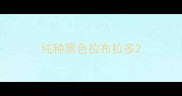 纯种黑色拉布拉多