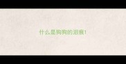 什么是狗狗的泪痕