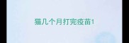 猫几个月打完疫苗