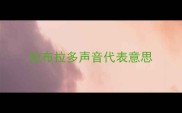 拉布拉多声音代表意思