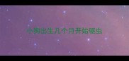 小狗出生几个月开始驱虫