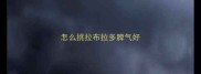 怎么挑拉布拉多脾气好