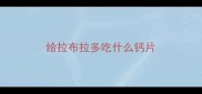 给拉布拉多吃什么钙片