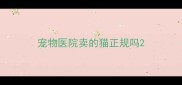 宠物医院卖的猫正规吗