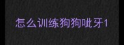 怎么训练狗狗呲牙