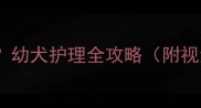 哈士奇1个月大该注意什么幼犬护理全攻略附视频新手必看养宠避坑指南