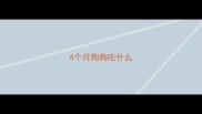 4个月狗狗吃什么