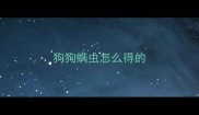 狗狗螨虫怎么得的