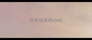 拉布拉多的chd