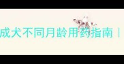 狗狗打虫药怎么选幼犬成犬不同月龄用药指南附6款安全驱虫药推荐