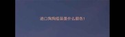 进口狗狗疫苗是什么颜色