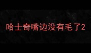 哈士奇嘴边没有毛了