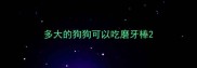 多大的狗狗可以吃磨牙棒