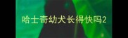 哈士奇幼犬长得快吗