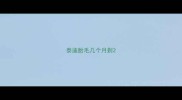 泰迪胎毛几个月剃