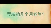 罗威纳几个月能生