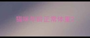 猫咪年龄正常体重