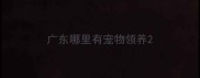 广东哪里有宠物领养