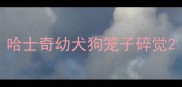 哈士奇幼犬狗笼子碎觉