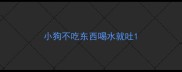 小狗不吃东西喝水就吐