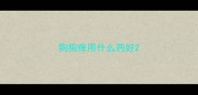 狗狗痒用什么药好