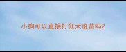 小狗可以直接打狂犬疫苗吗