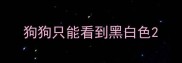 狗狗只能看到黑白色