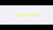 大连爱心宝贝宠物