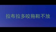 拉布拉多咬拖鞋不放
