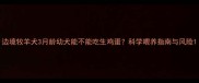 边境牧羊犬3月龄幼犬能不能吃生鸡蛋科学喂养指南与风险