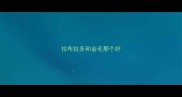 拉布拉多和金毛那个好