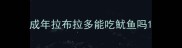 成年拉布拉多能吃鱿鱼吗
