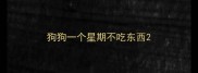狗狗一个星期不吃东西