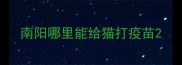 南阳哪里能给猫打疫苗