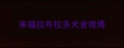 来福拉布拉多犬舍微博