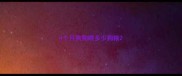4个月狗狗喂多少狗粮
