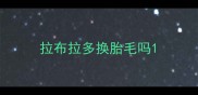 拉布拉多换胎毛吗