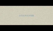 50天拉布拉多饭量