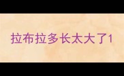 拉布拉多长太大了