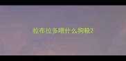 拉布拉多喂什么狗粮