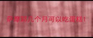 萨摩耶几个月可以吃蛋糕