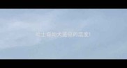 哈士奇幼犬适应的温度