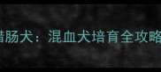 拉布拉多犬腊肠犬混血犬培育全攻略与优缺点深度