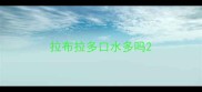 拉布拉多口水多吗