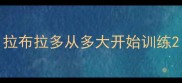 拉布拉多从多大开始训练