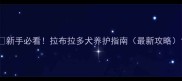 新手必看拉布拉多犬养护指南最新攻略