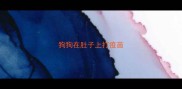 狗狗在肚子上打疫苗