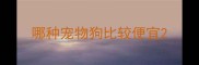 哪种宠物狗比较便宜