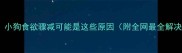 警惕小狗食欲骤减可能是这些原因附全网最全解决方案